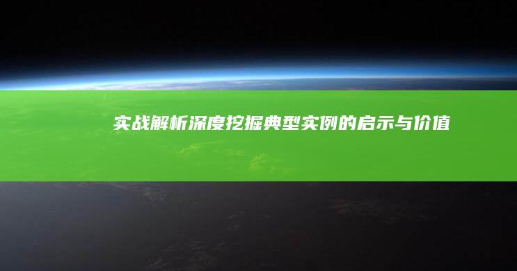 实战解析：深度挖掘典型实例的启示与价值